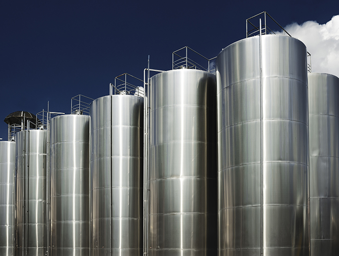 Success Story - Agribusiness